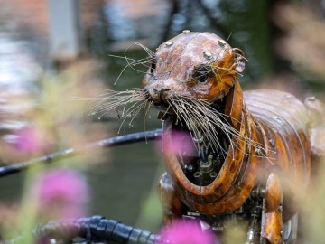 Loutre © David Fugere - SPL Destination La Roche-sur-Yon