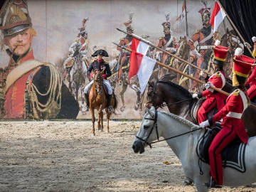 napoleon_spectacle_haras_vendee © David Fugere