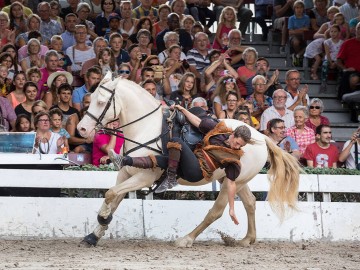 voltige_haras_vendee © David Fugere