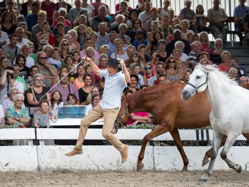 spectacle_haras_vendee_2 © David Fugere