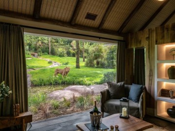 Serengeti Lodge - Univers lions d'Afrique S. Le Ludec