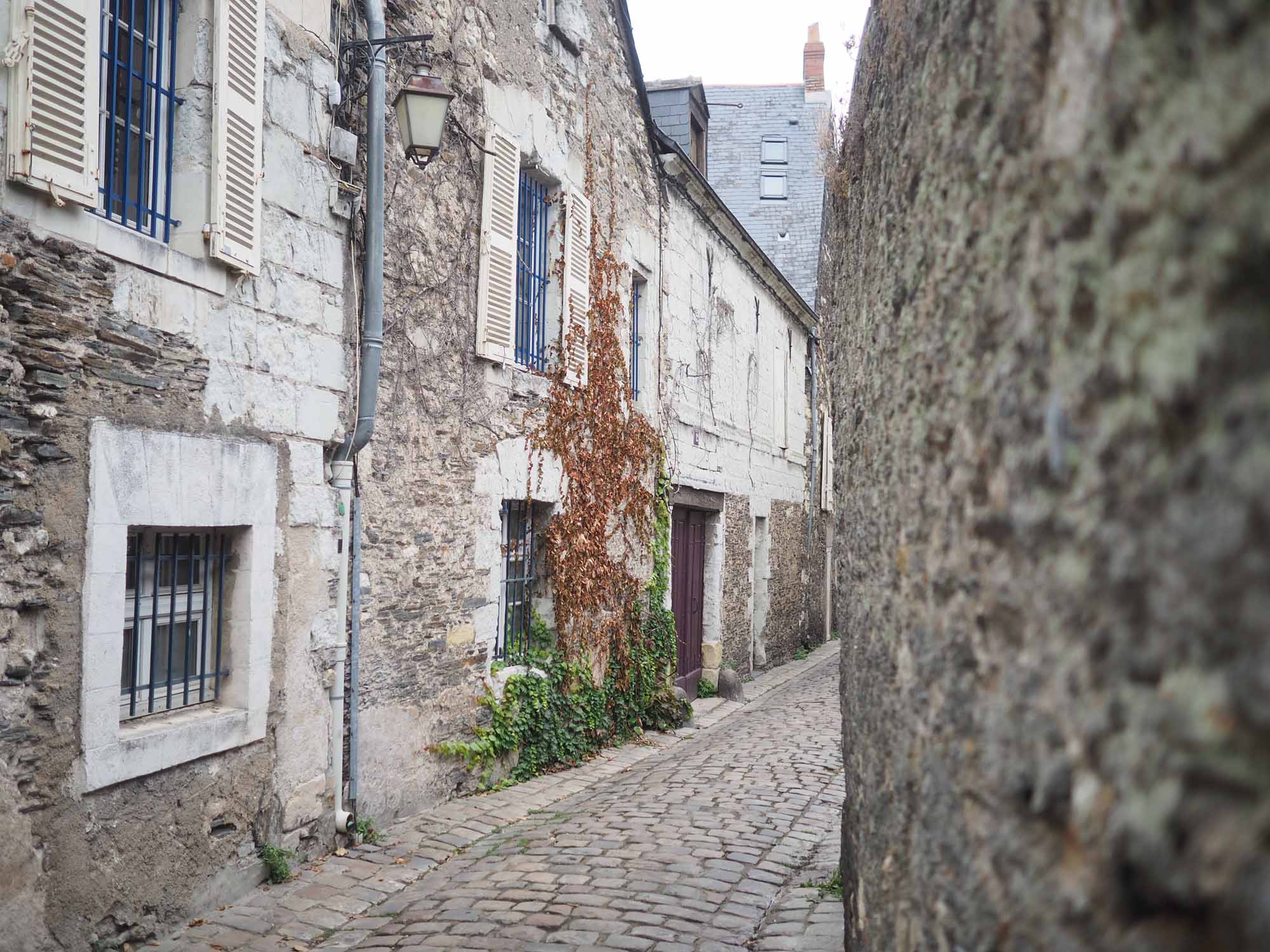 Photo T. Le Gourrierec