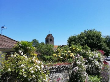 Rue fleurie Association du Patrimoine d'Asnières