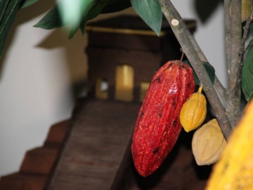 Musee_Gelenscer © Musée du Chocolat