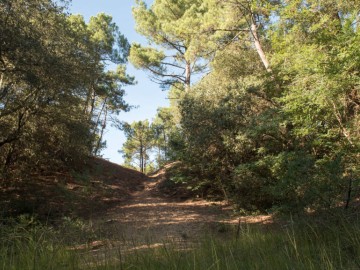 La Butte de Ski, Forêt domaniale d'Olonne Antoine Martineau