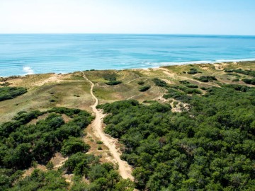 Forêt domaniale d'Olonne Antoine Martineau