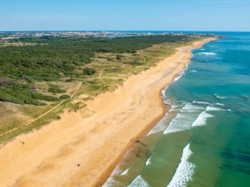 Dunes et forêt domaniale d'Olonne Antoine Martineau