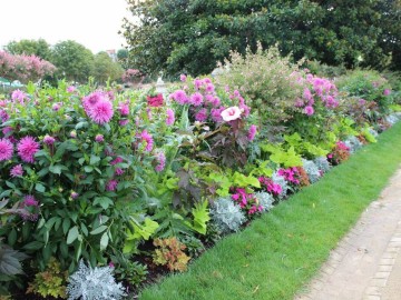 © Ville d’Angers – Direction Parcs Jardins et Paysages