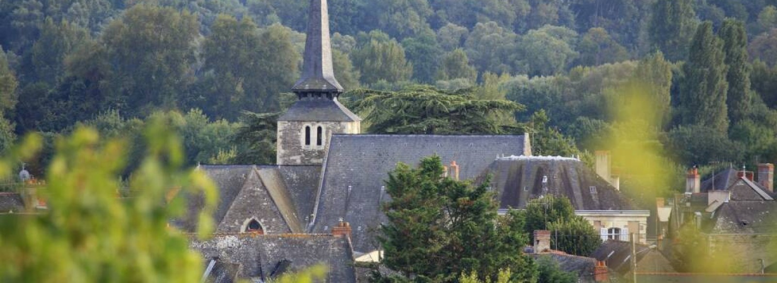 Chateau des Vaults Domaine du Closel