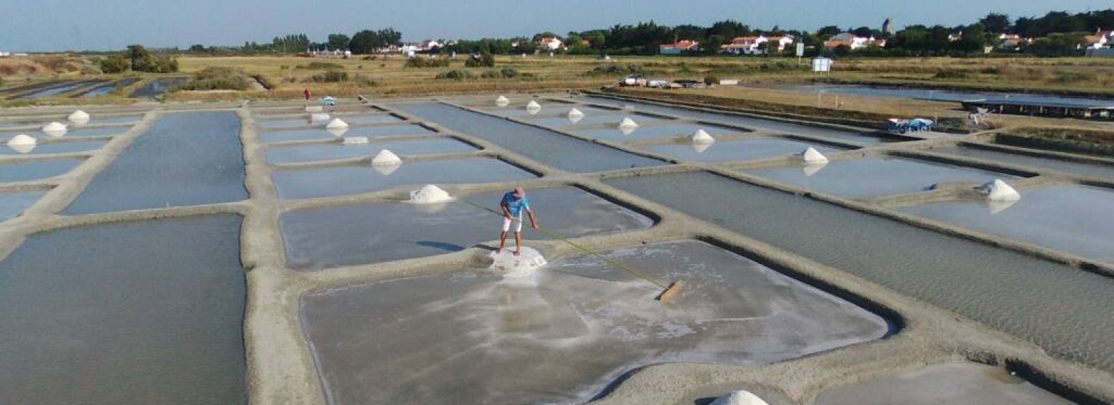 MARAIS SALANT LA NOUVELLE BRILLE