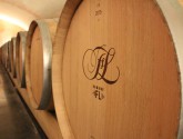 @domainefl