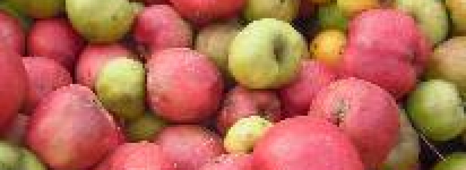 PRODUITS CIDRICOLES - LA FERME DU THEIL
