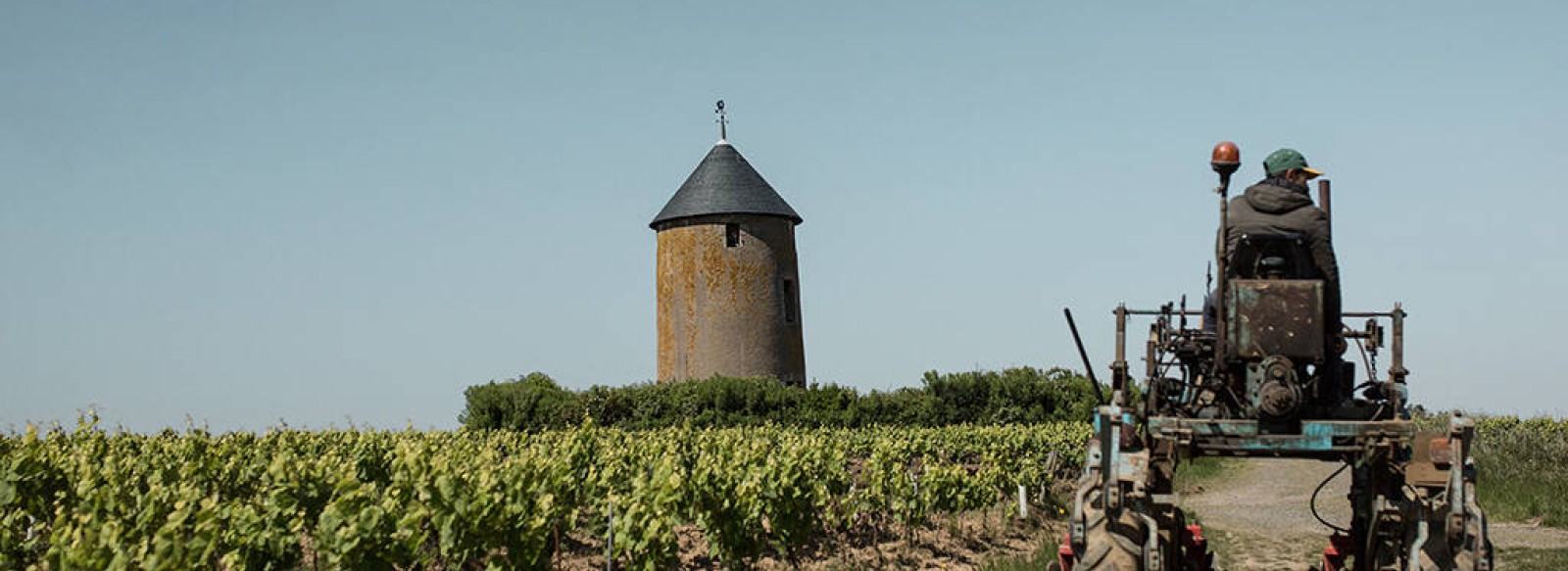 Domaine Menard-Gaborit
