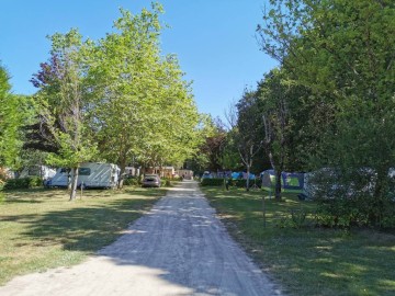 Emplacements nus Camping la Foret