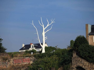 LUNAR TREE de Mrzyk & Moriceau