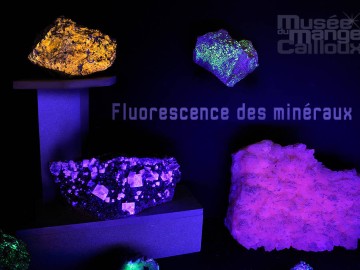 ©MuseeMangeCailloux