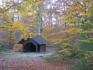 foret-du-gavre-le-gavre-44-pna-2 ©OT-Pays-Blain
