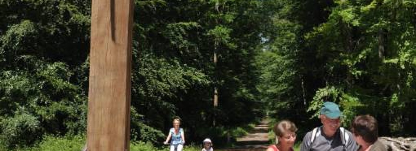 FORET DOMANIALE DE CHANDELAIS