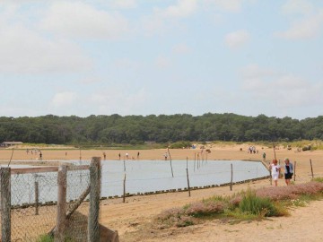 Soleil_14 Gîtes de France Vendée