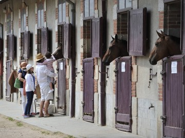 box_haras_vendee_pascal_baudry © Pascal Baudry