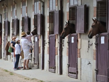 Haras-National