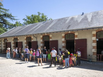 Haras-Vendée-0105 Julien Gazeau