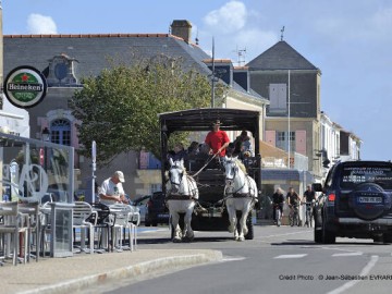 Vendée des Iles