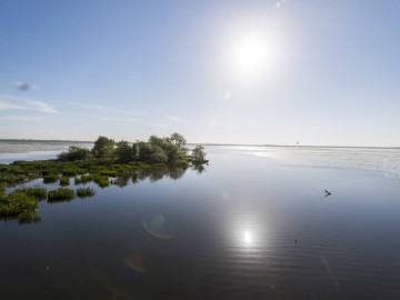lac-de-grand-lieu-8355 Valery Joncheray