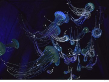 Le Mystere des Faluns_1