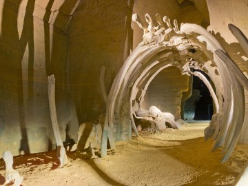 Le Mystere des Faluns_3