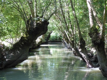 Didier MOREAU Embarcadère de l'Abbaye