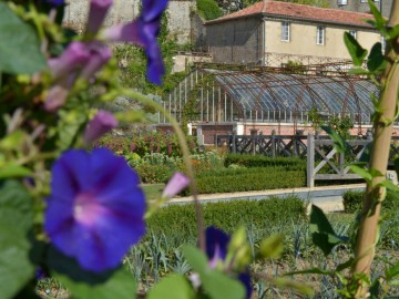 potager-du-chateau-colbert-maulévrier-49_3 Château Colbert