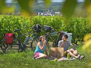 Vignoble de la Vallée du Loir - Photo J. Damase
