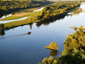 Ile de Loire - l'île Neuve-Macrière, entre Oudon et Champtoceaux