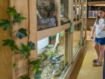 Spaycific' Zoo- Enclos des reptiles Office de Tourisme Vallée de la Sarthe /Stevan