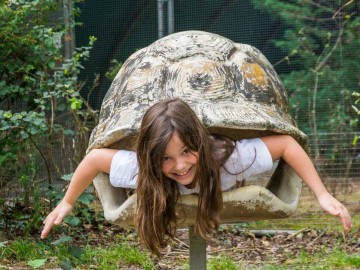 Spaycific' Zoo- Ose prendre pour une tortue Office de Tourisme Vallée de la Sarthe /Stevan