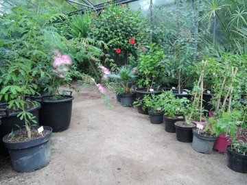 ©Tropicarium Bonzaï