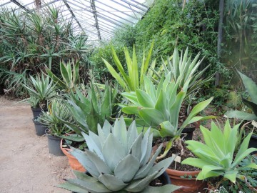 ©Tropicarium Bonzaï