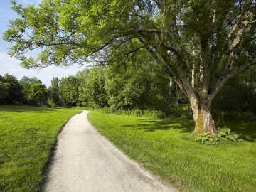 Vallée-verte-de-l-Yon-La-Roche-sur-Yon-85-PCU-5 © Alexandre Lamoureux