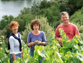 Domaine des Génaudières